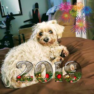 Meet your Posher, Eileen